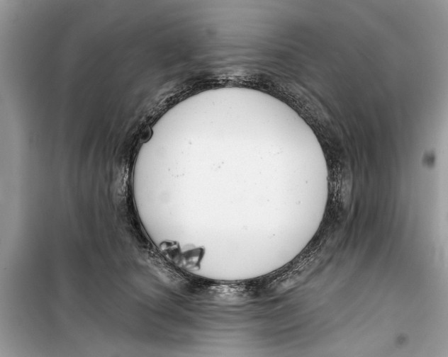 X0000099300660200805231343