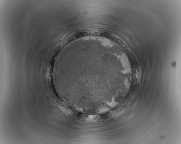 X0000099300663200805231343