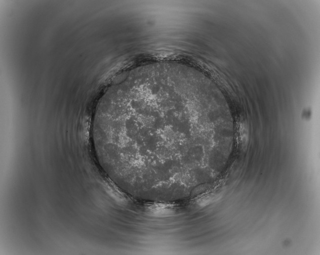 X0000099300664200805231343