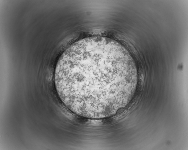 X0000099300665200805231343