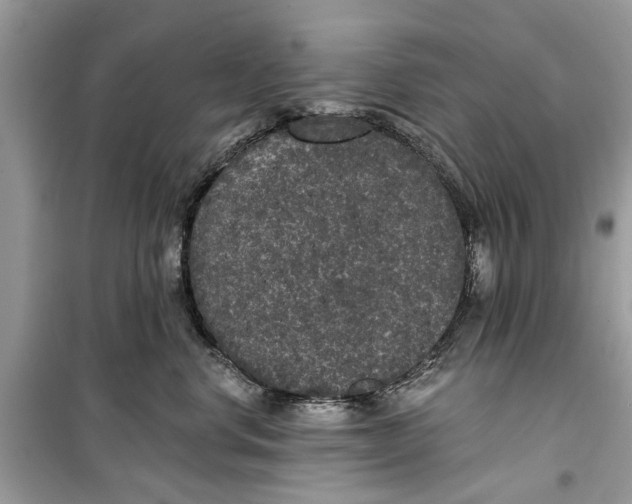 X0000099300668200805231343