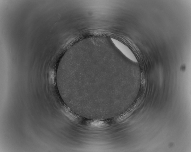 X0000099300669200805231343