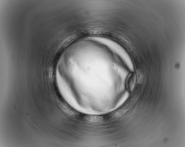 X0000099300670200805231343