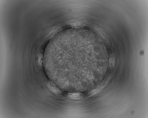 X0000099300671200805231343