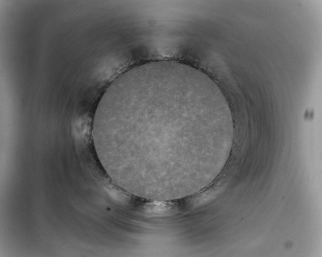 X0000099300672200805231343