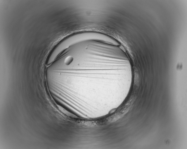 X0000099300673200805231343