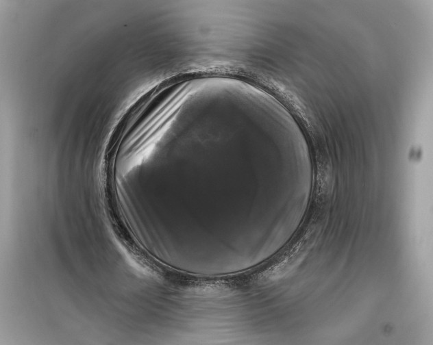 X0000099300674200805231343