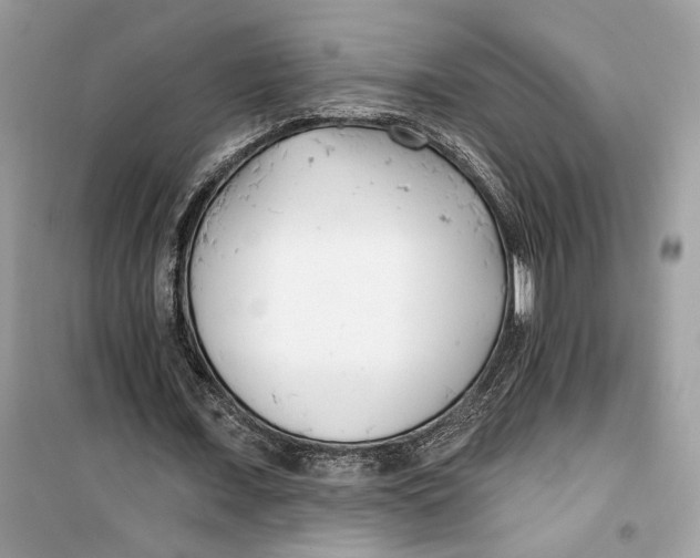 X0000099300675200805231343