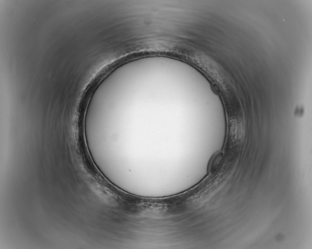 X0000099300676200805231343