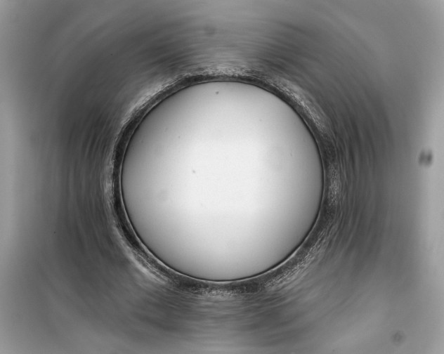 X0000099300677200805231343