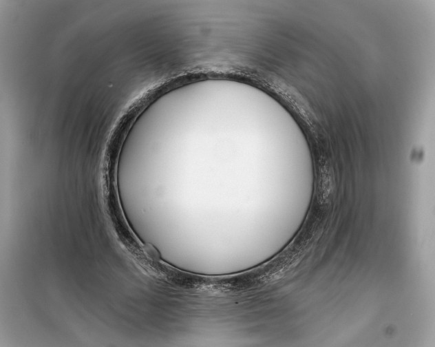 X0000099300680200805231342