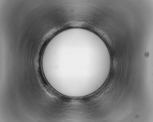 X0000099300682200805231342