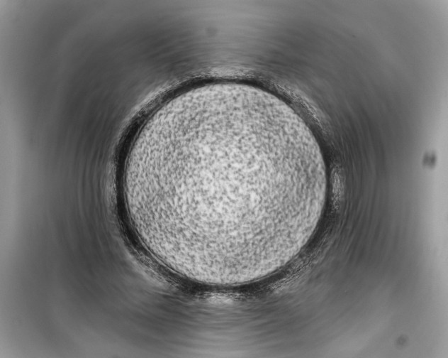 X0000099300684200805231342