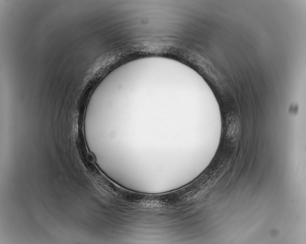 X0000099300685200805231342