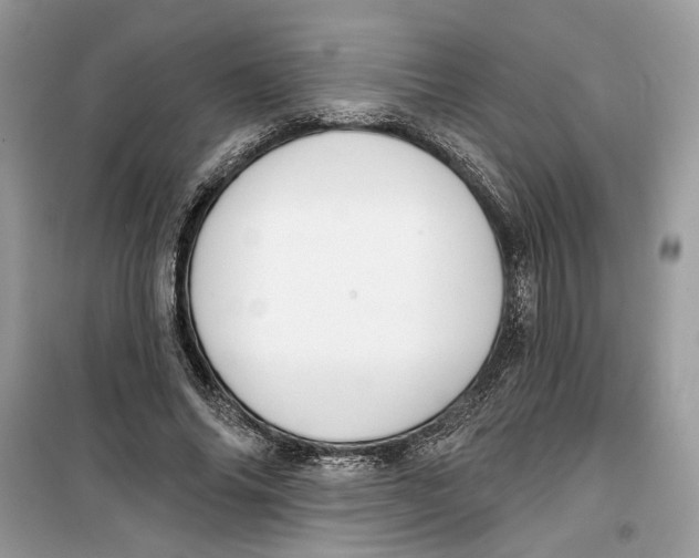 X0000099300686200805231342