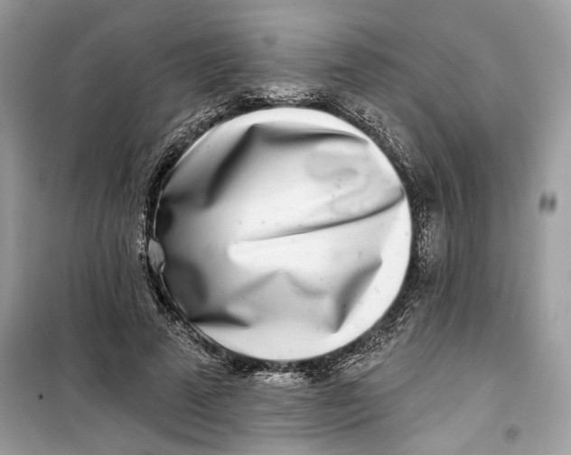 X0000099300689200805231342