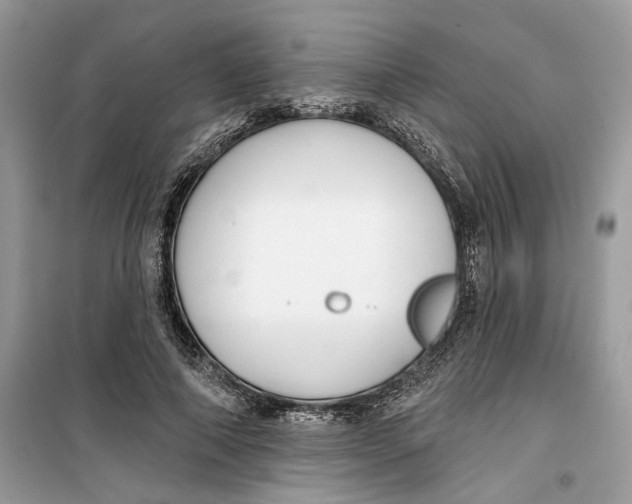 X0000099300690200805231342