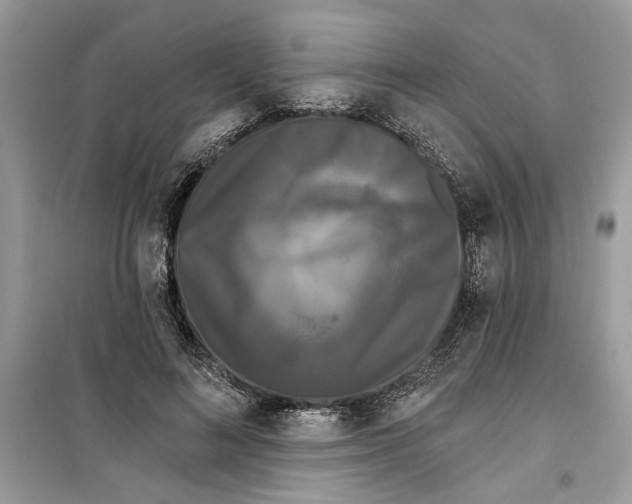 X0000099300692200805231342