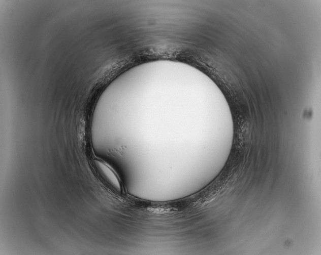 X0000099300693200805231342