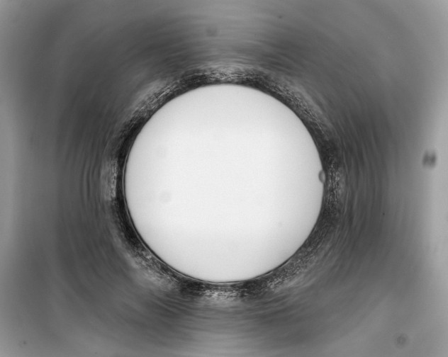 X0000099300694200805231342