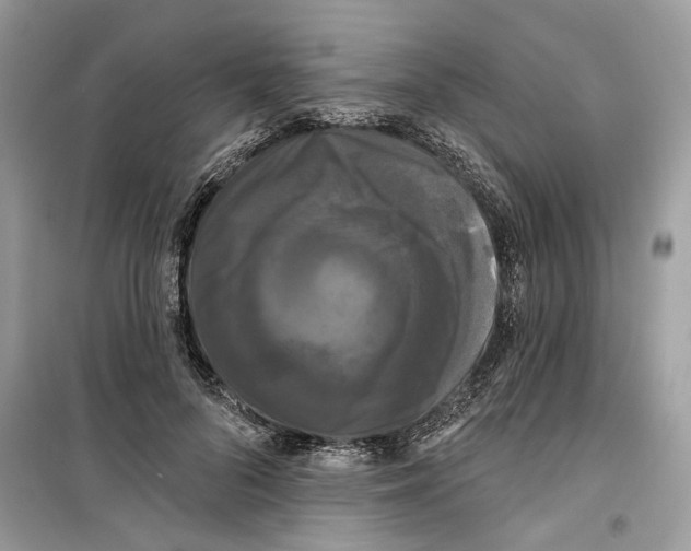 X0000099300696200805231342