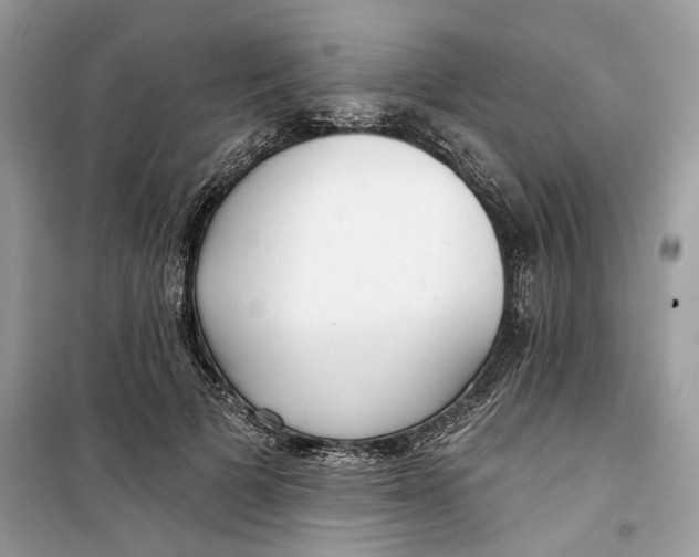 X0000099300697200805231342