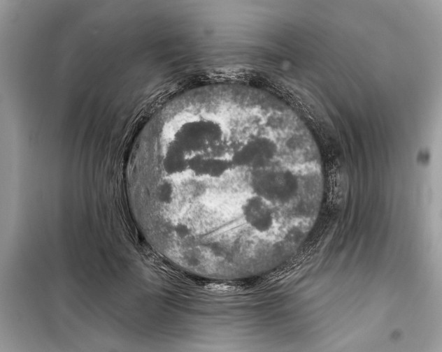 X0000099300699200805231342