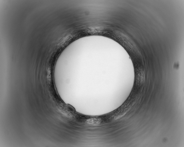 X0000099300700200805231342