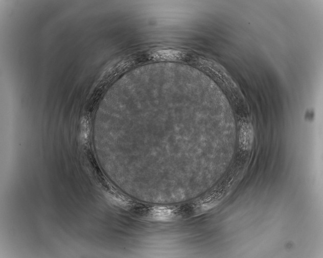 X0000099300701200805231342