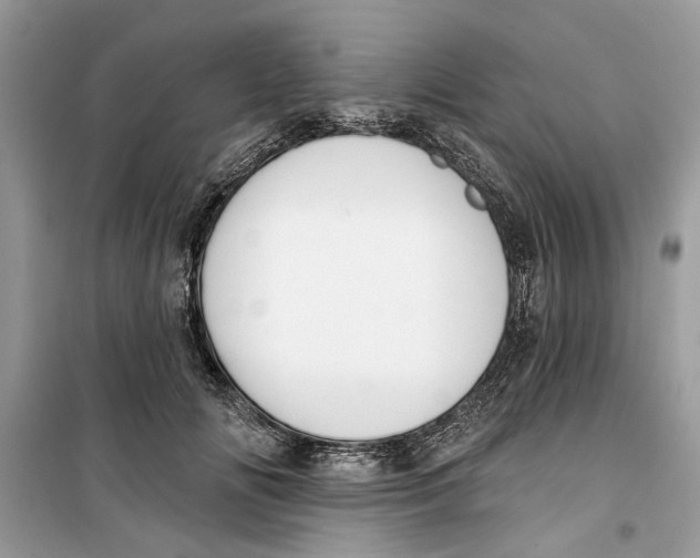 X0000099300702200805231342