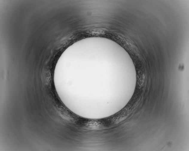 X0000099300704200805231342