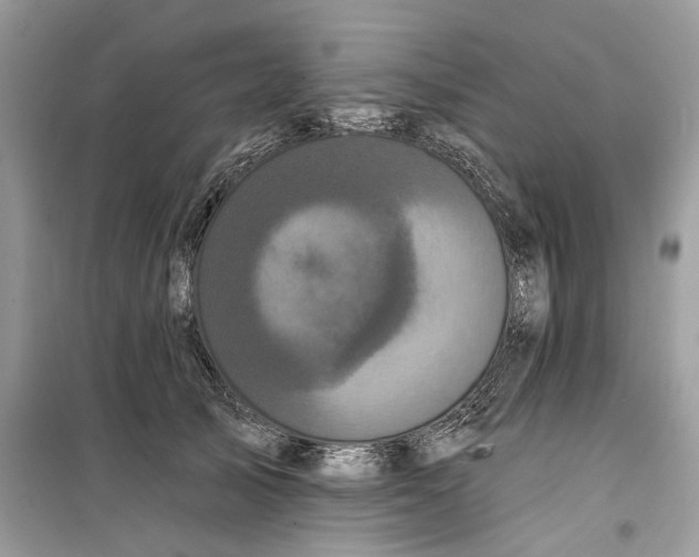 X0000099300705200805231342