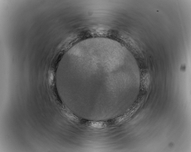 X0000099300709200805231342