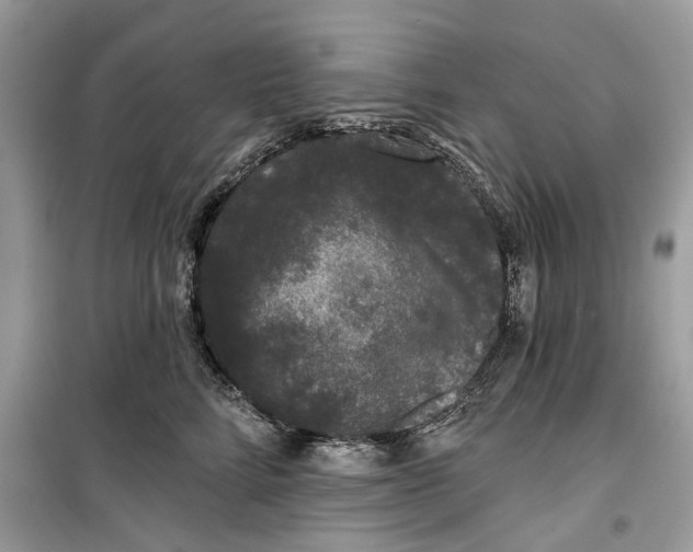 X0000099300712200805231342