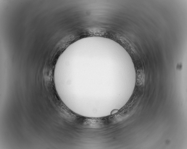 X0000099300713200805231342