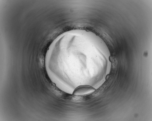 X0000099300718200805231342