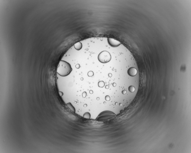 X0000099300719200805231342