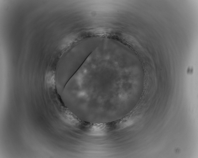 X0000099300720200805231342