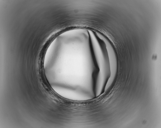 X0000099300723200805231341