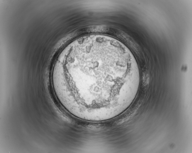 X0000099300725200805231341