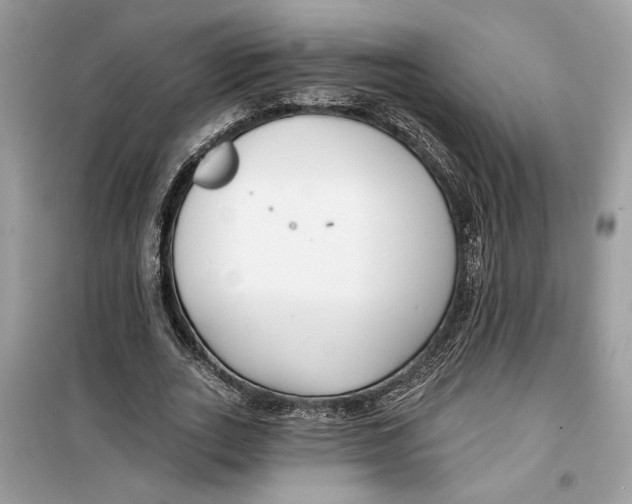 X0000099300727200805231341