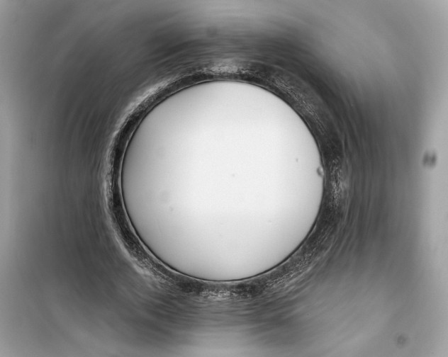 X0000099300728200805231341