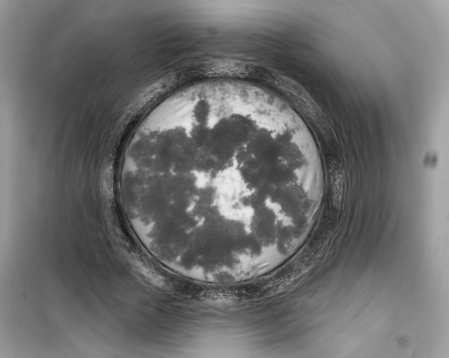 X0000099300729200805231341