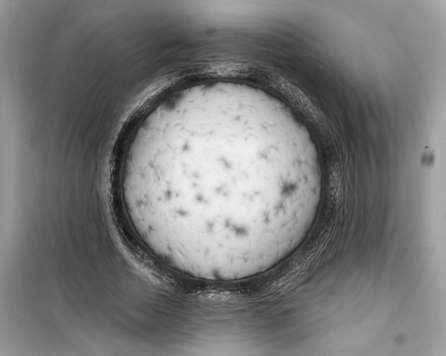 X0000099300730200805231341