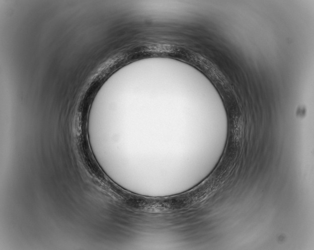 X0000099300731200805231341