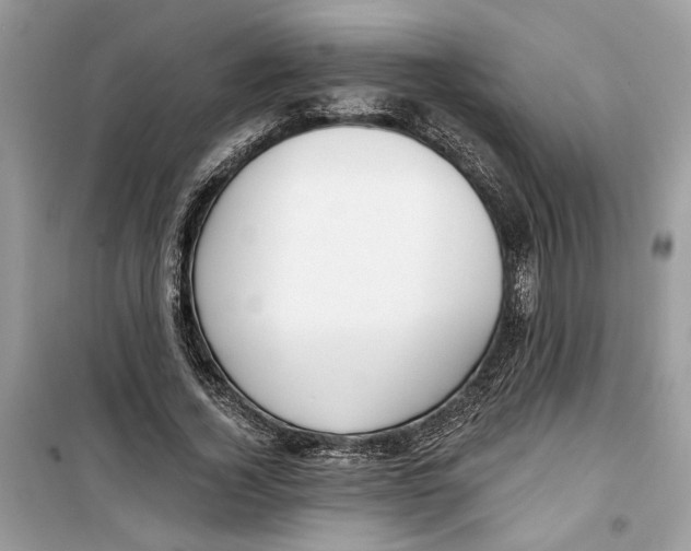 X0000099300732200805231341