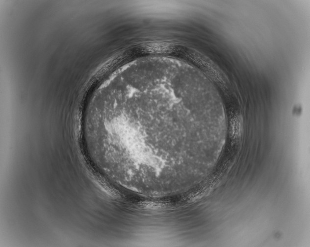 X0000099300733200805231341