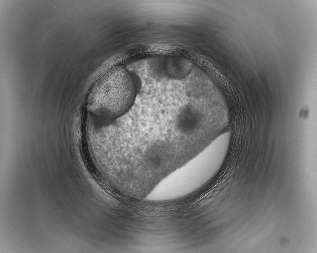 X0000099300734200805231341