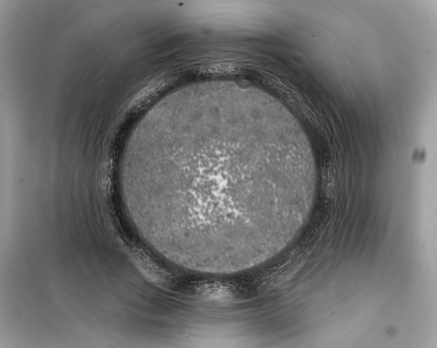 X0000099300735200805231341