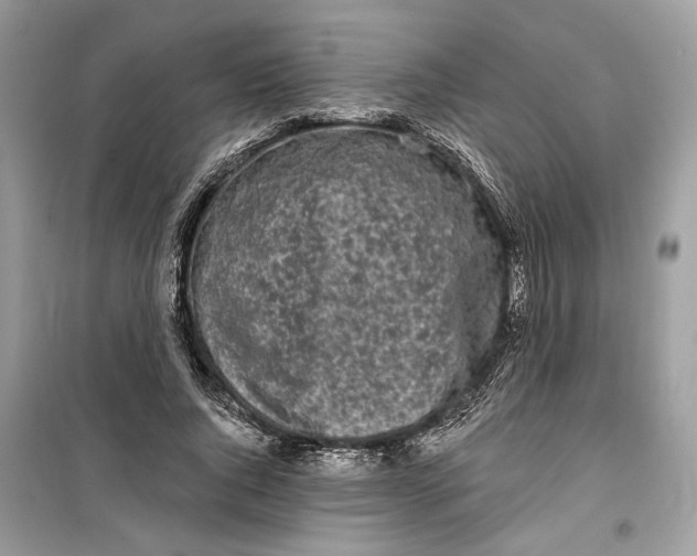 X0000099300736200805231341